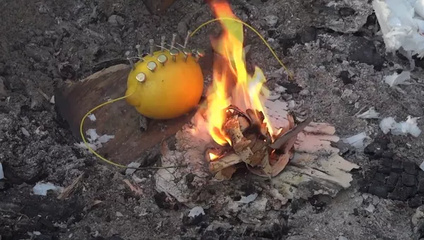 Une nouvelle façon d'allumer un feu - Sputnik Afrique