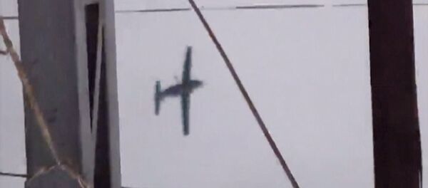 Un avion militaire irakien s'est écrasé sur le territoire occupé par Daech Un avion militaire irakien s'est écrasé sur le territoire occupé par Daech - Sputnik Afrique