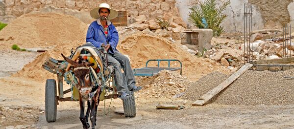 Tunisie - Sputnik Afrique