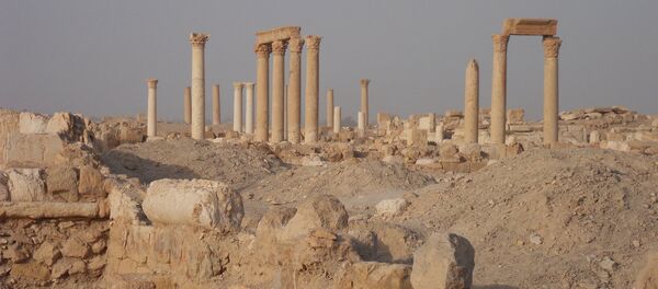Palmyre - Sputnik Afrique