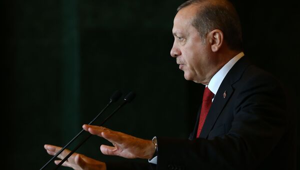 Le président de Turquie Recep Tayyip Erdogan - Sputnik Afrique