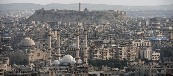 Alep - Sputnik Afrique