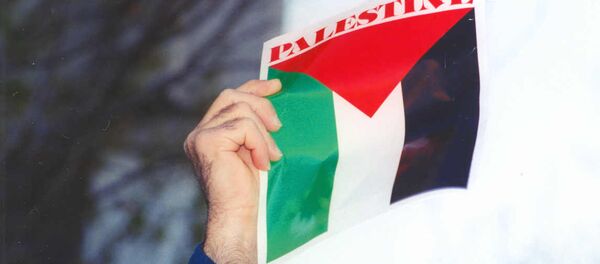 Le drapeau palestinien - Sputnik Afrique