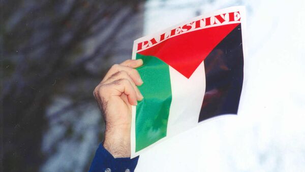 Le drapeau palestinien - Sputnik Afrique