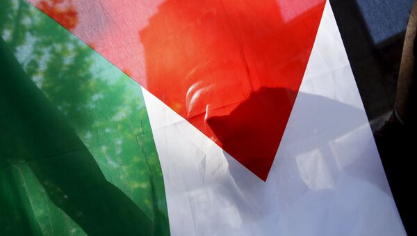 drapeau palestinien - Sputnik Afrique