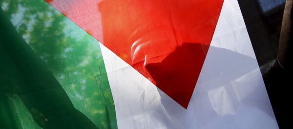 drapeau palestinien drapeau palestinien - Sputnik Afrique