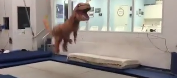 Un tyrannosaure fait des sauts sur un trampoline - Sputnik Afrique