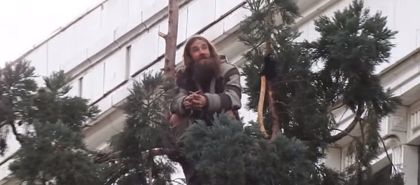 Un homme s'est hissé en haut d'un Séquoia haut de 25 mètres en plein centre de Seattle Un homme s'est hissé en haut d'un Séquoia haut de 25 mètres en plein centre de Seattle - Sputnik Afrique