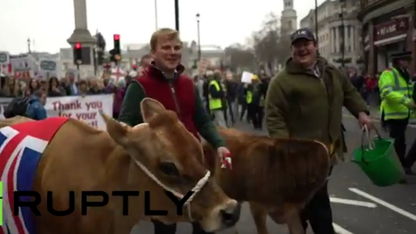 A Londres, des agriculteurs manifestent contre la politique gouvernementale concernant le secteur agricole. - Sputnik Afrique