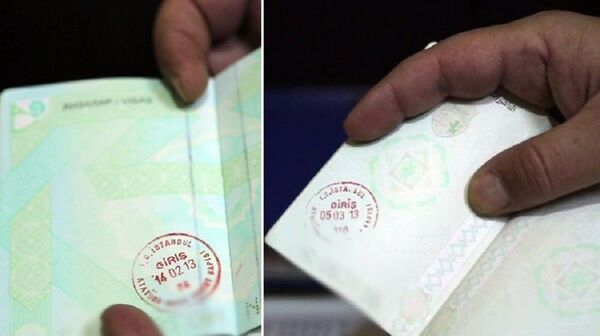 Passeports appartenant aux combattants de Daesh, avec des cachets d'entrée en Turquie  - Sputnik Afrique