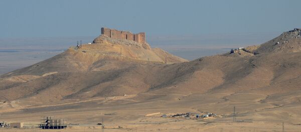 Situación en Palmira, Siria - Sputnik Afrique