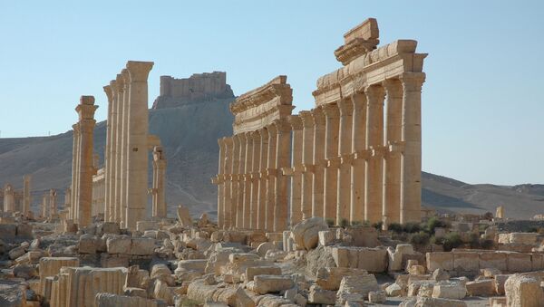 Castelo de Palmira (no fundo da foto) - Sputnik Afrique