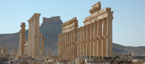 Castelo de Palmira (no fundo da foto) - Sputnik Afrique