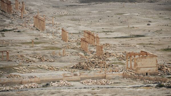 La cité antique de Palmyre après sa libération - Sputnik Afrique
