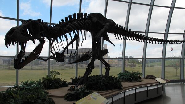 Le squelette d'un dinosaur, Parc d'attractions, Etats-Unis - Sputnik Afrique