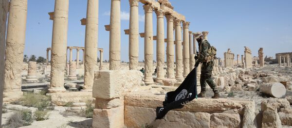 Боец отряда народного ополчения Соколы пустыни с флагом ДАИШ в исторической части Пальмиры - Sputnik Afrique