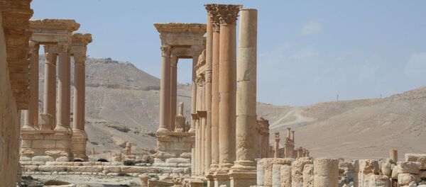 La cité historique de Palmyre libérée des terroristes - Sputnik Afrique
