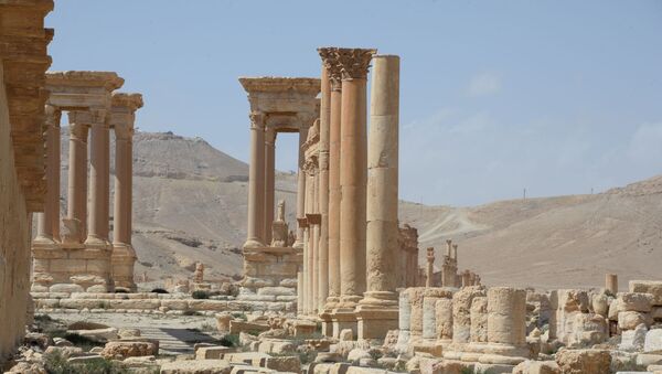 La cité historique de Palmyre libérée des terroristes - Sputnik Afrique