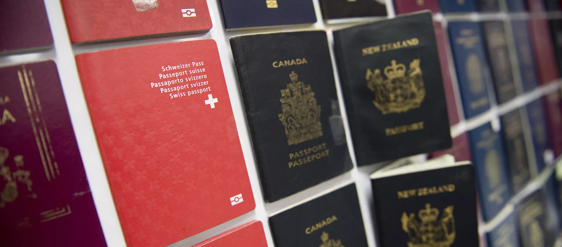 passeports - Sputnik Afrique, 1920, 06.01.2021