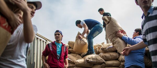 30 tonnes d'aide humanitaire larguée sur Deir ez-Zor assiégée 30 tonnes d'aide humanitaire larguée sur Deir ez-Zor assiégée - Sputnik Afrique