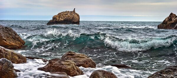 Crimée - Sputnik Afrique