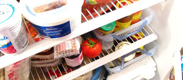 frigo - Sputnik Afrique