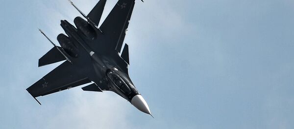 Su-30SM fighter jet - Sputnik Afrique