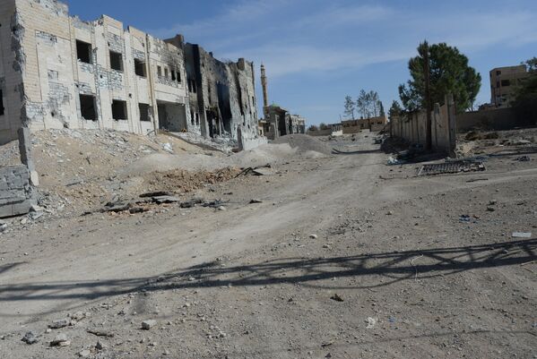 La ville syrienne d’Al-Qaryatayn libérée - Sputnik Afrique