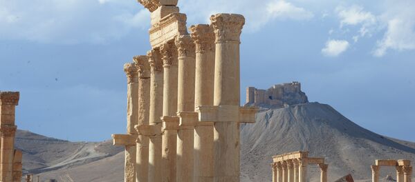 Palmyre - Sputnik Afrique