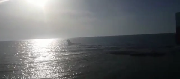 Un avion atterrit sur la mer - Sputnik Afrique