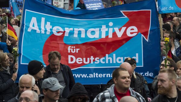 Les partisans du parti l'Alternative pour l'Allemagne - Sputnik Afrique