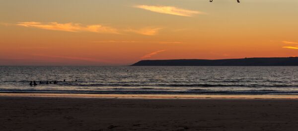 Dubaï déploie une flotte de drones pour chasser les gens qui salissent - Sputnik Afrique