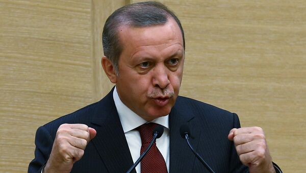 En Turquie, des internautes emprisonnés pour insultes contre Erdogan - Sputnik Afrique