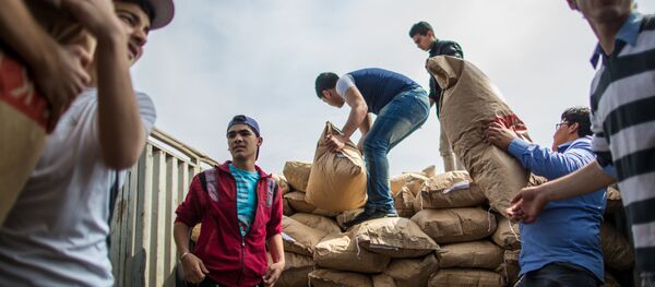 Самолет МЧС России доставил груз гуманитарной помощи в Сирию - Sputnik Afrique