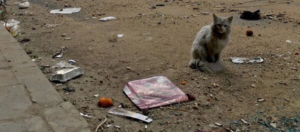 Alep - Sputnik Afrique