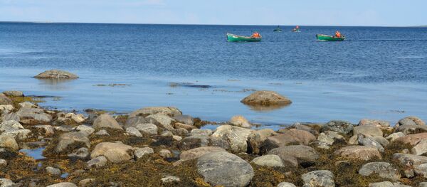 algues - Sputnik Afrique