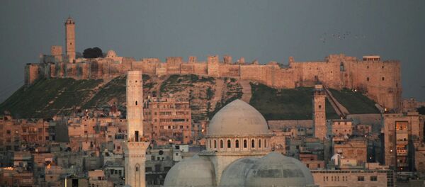 la ville d'Alep en Syrie - Sputnik Afrique