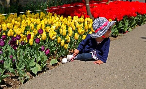 Houman Ardebili  - Sputnik Afrique