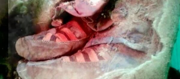 Une momie âgée de 1.500 ans découverte en Mongolie - Sputnik Afrique