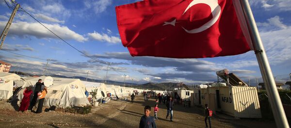 Le drapeau turc - Sputnik Afrique