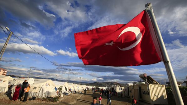 Le drapeau turc - Sputnik Afrique