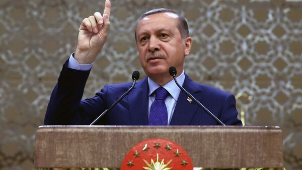 président turc Recep Tayyip Erdogan - Sputnik Afrique