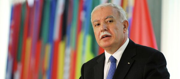 Riyad al-Maliki - Sputnik Afrique