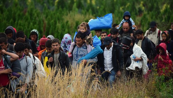 Migrants make their way through the countryside after they crossed the boarder near the village of Zakany in Hungary to continue their trip to Gemany on September 20, 2015. - Sputnik Afrique