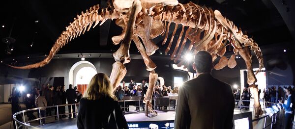 Le Titanosaur - Sputnik Afrique
