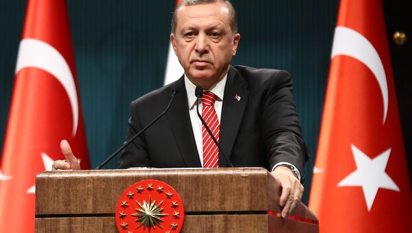 Le président turc Recep Tayyip Erdogan - Sputnik Afrique