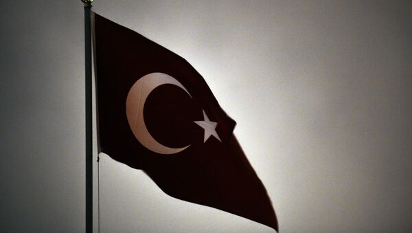 Le drapeau turc - Sputnik Afrique