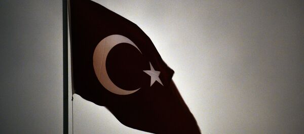 Le drapeau turc - Sputnik Afrique