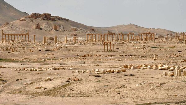 Vue générale du site historique de Palmyre - Sputnik Afrique