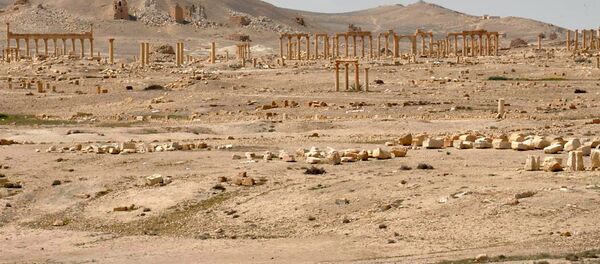 L’offensive US à Raqqa en pause «pour laisser Daech attaquer Palmyre» - Sputnik Afrique